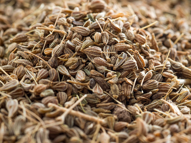 Anís en Grano