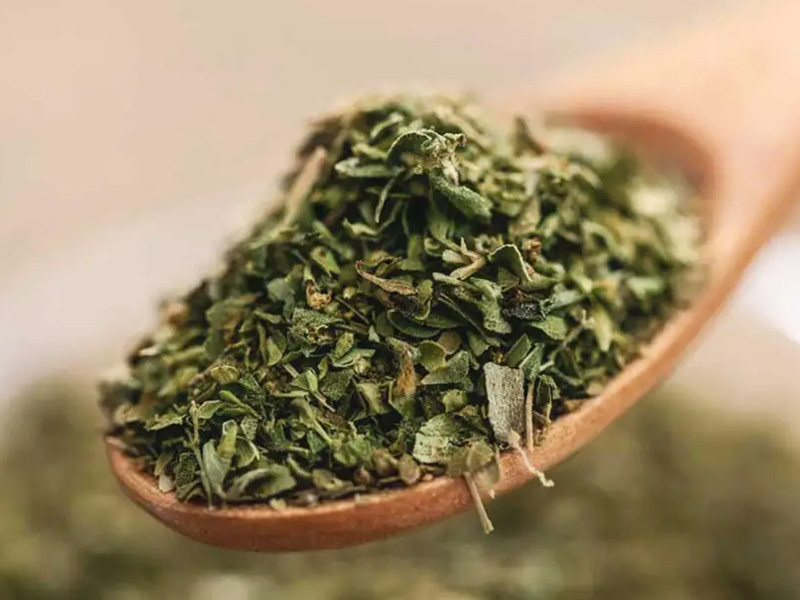 Orégano