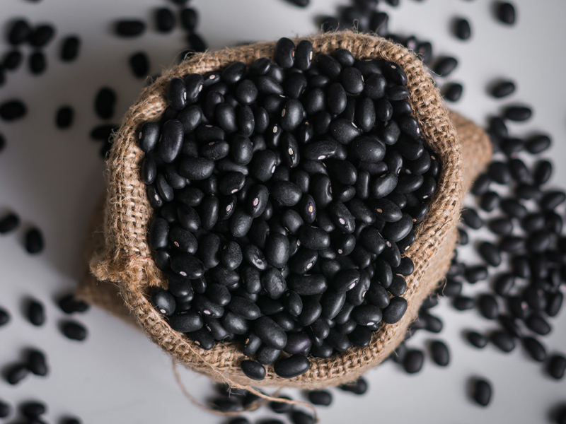 Poroto Negro